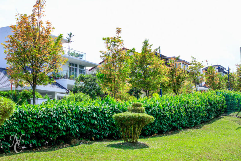 Bread King Bakery Serangoon Gardens Eat Pray Fly ing