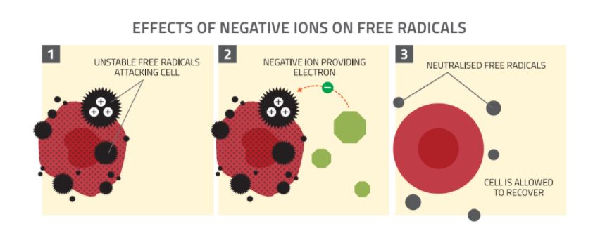 Effects of negative ions on free radicals