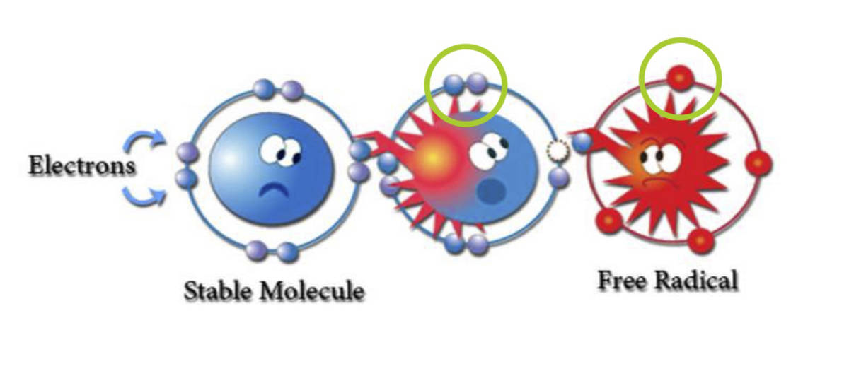 How free radicals react with other molecules
