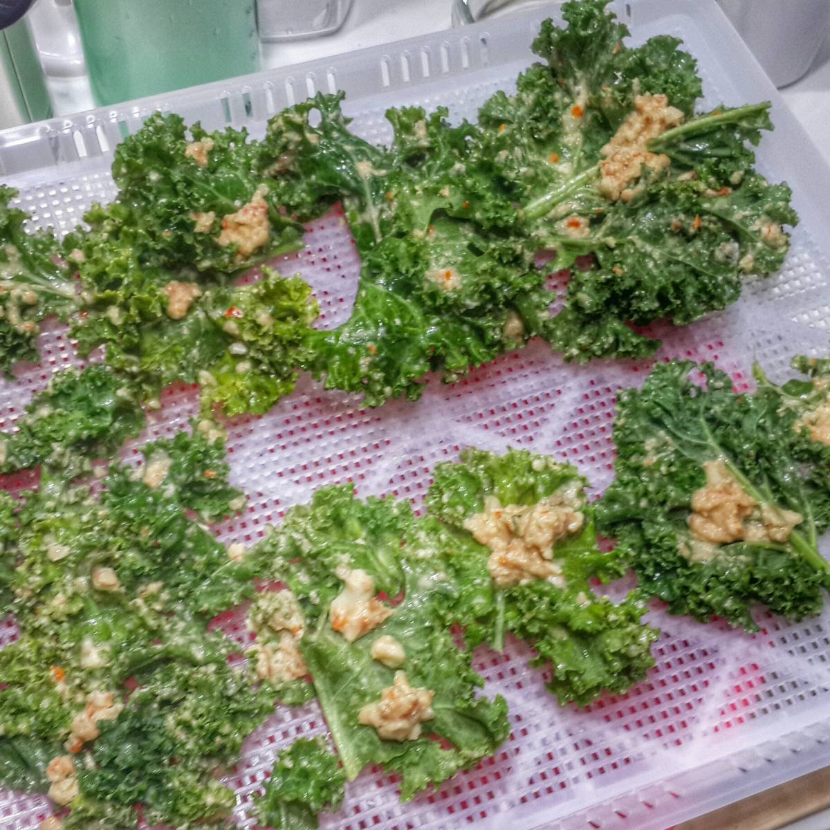 Raw vegan cheesy kale chips